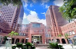 Ngee Ann City (D9), Office #557107871